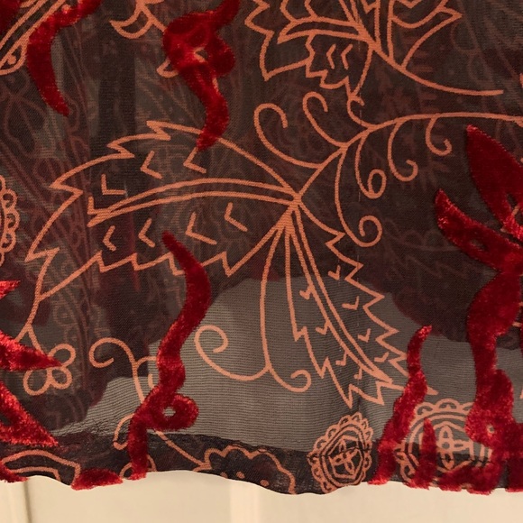 Velvet & Sheer 3/4 Sleeve Button-down Blouse, Dressy, Ruffle Cuff, Collar, Layer - Picture 4 of 7